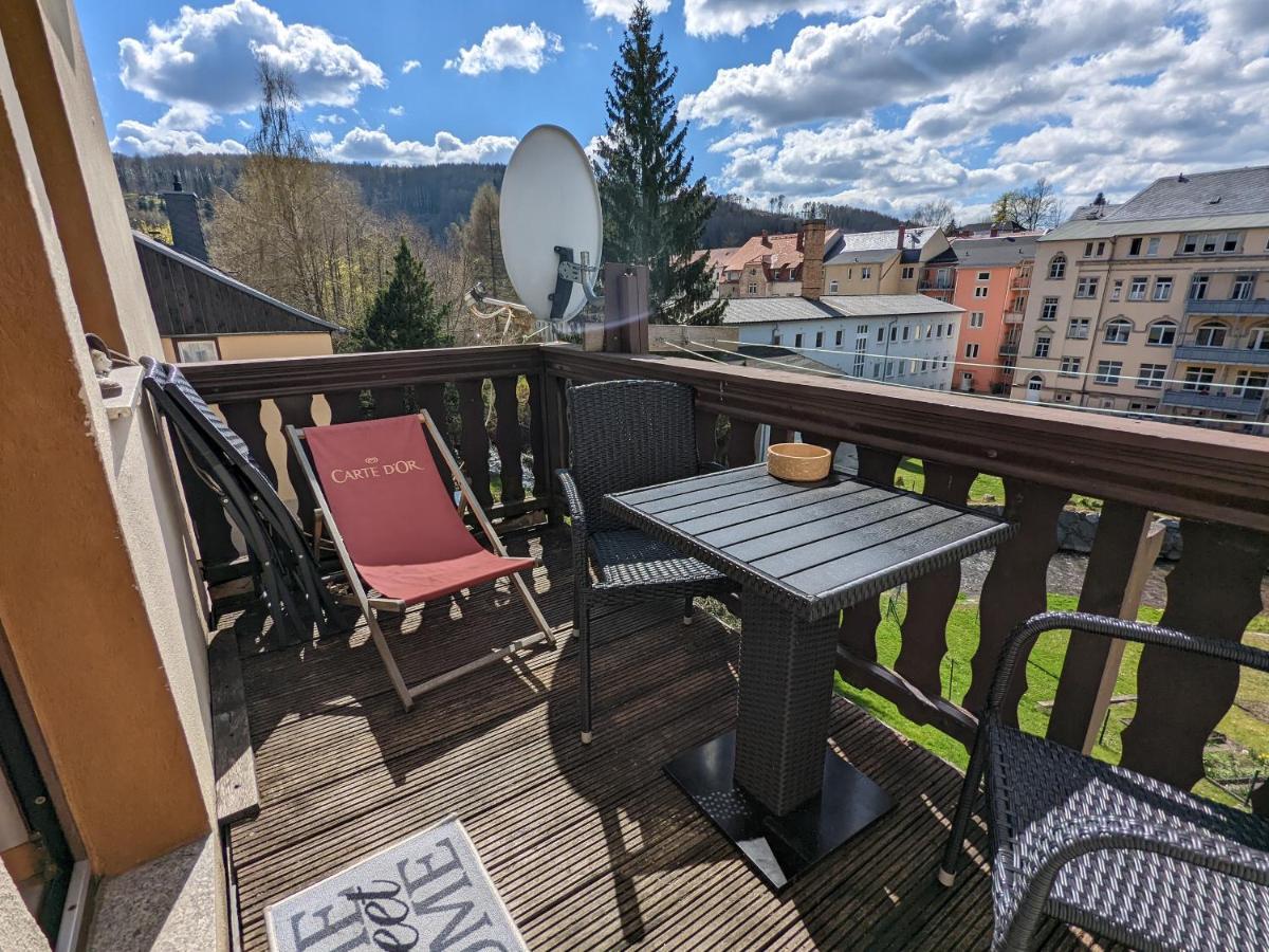 Urlaubstraum Mit Pool, Terrasse & Fluss Im Garten - Ut Apartamento Sebnitz Exterior foto