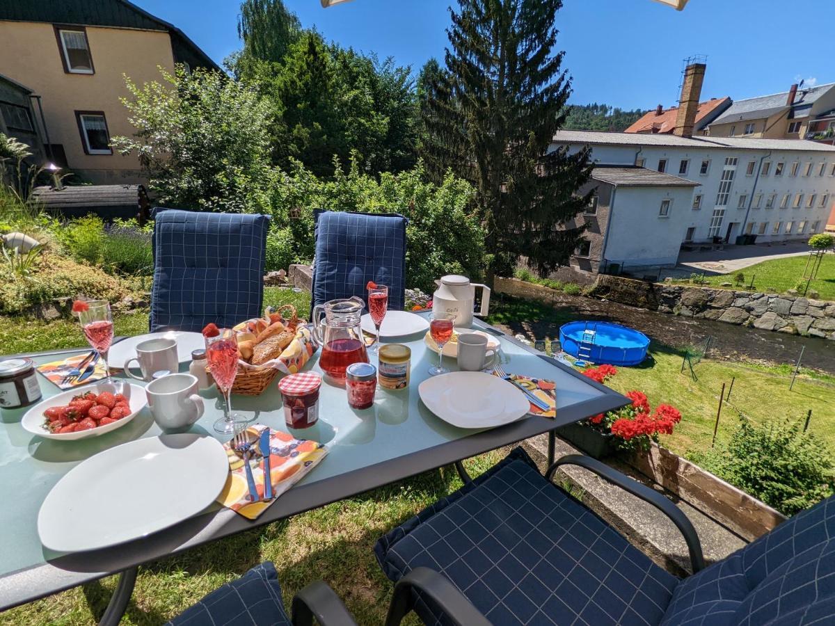 Urlaubstraum Mit Pool, Terrasse & Fluss Im Garten - Ut Apartamento Sebnitz Exterior foto